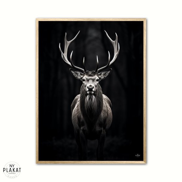Hjort Plakat 8
