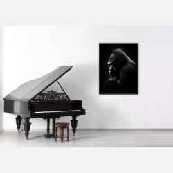 Gorilla Plakat 9
