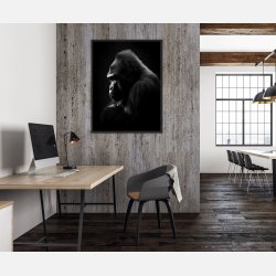Gorilla Plakat 9