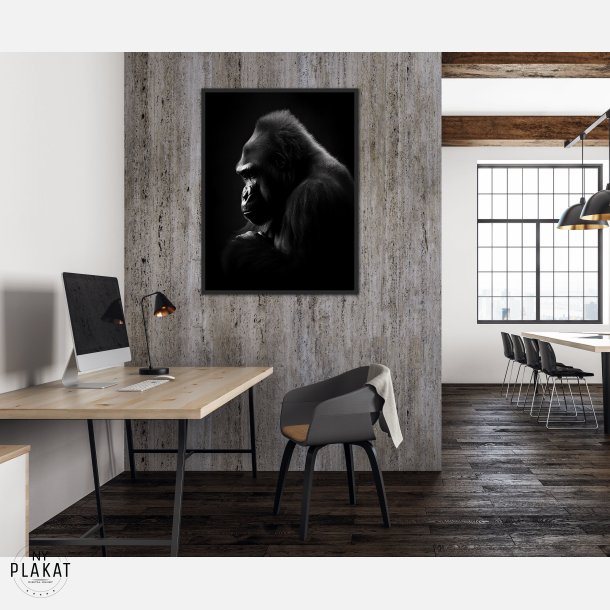 Gorilla Plakat 9