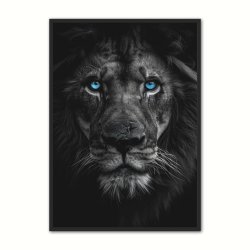 Blue Eyes - Plakatsæt