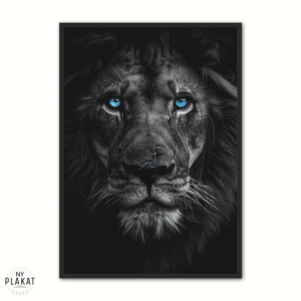 Blue Eyes - Plakats�t