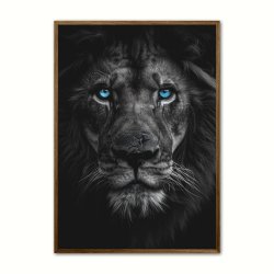 Blue Eyes - Plakatsæt