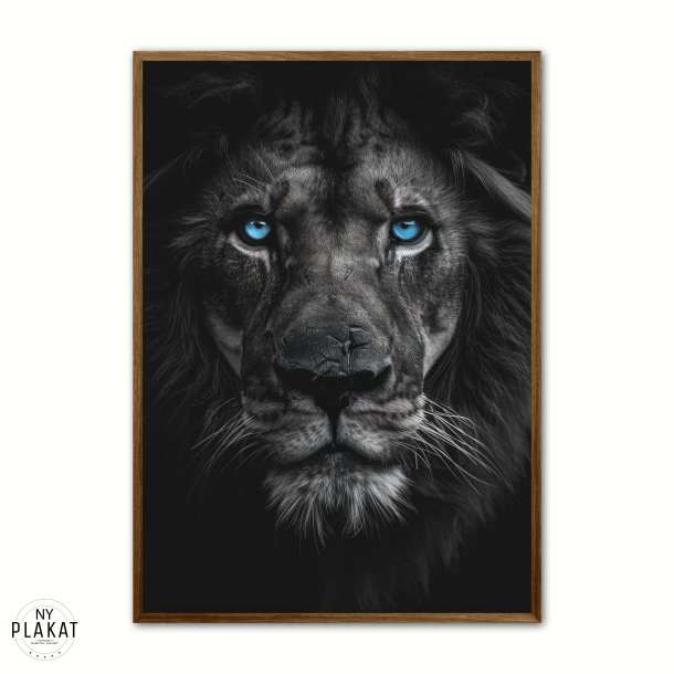 Blue Eyes - Plakats�t