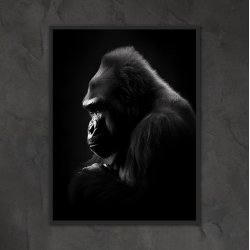 Gorilla Plakat 9