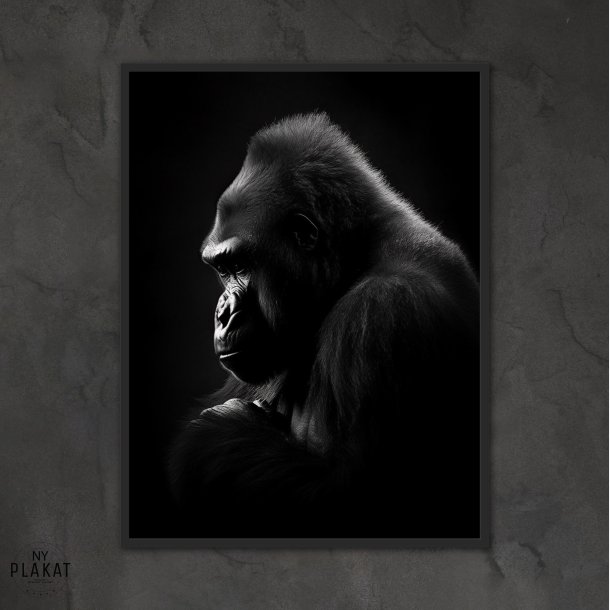 Gorilla Plakat 9