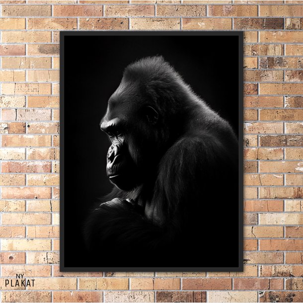 Gorilla Plakat 9