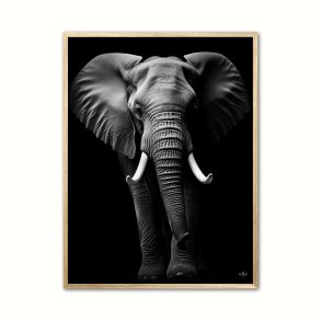 Elefant Plakat 1