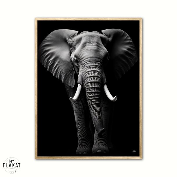 Elefant Plakat 1