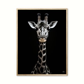 Giraf Plakat 9