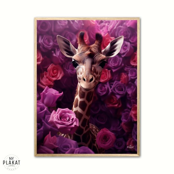 Giraffens Lilla Rosesymfoni - Giraf Plakat 24