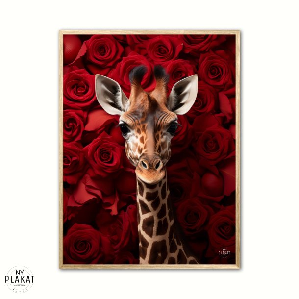 Giraffens Krlighed til Rde Roser - Giraf Plakat 17
