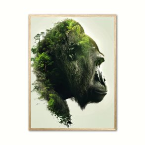 Gorilla Plakat 24