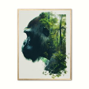 Gorilla Plakat 17