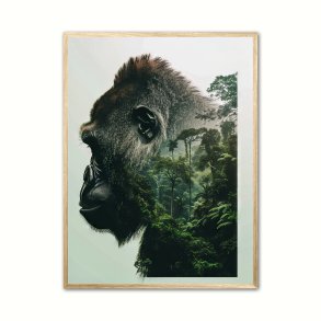 Gorilla Plakat 18