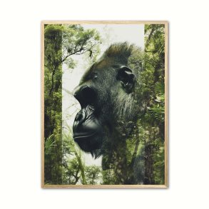 Gorilla Plakat 25