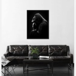 Gorilla Plakat 9