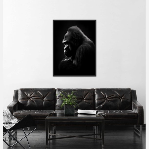 Gorilla Plakat 9