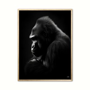 Gorilla Plakat 9