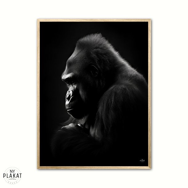Gorilla Plakat 9