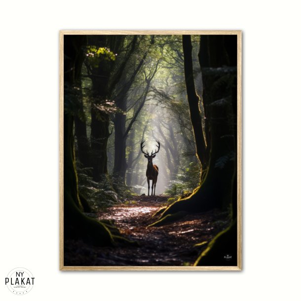 Hjort Plakat 7