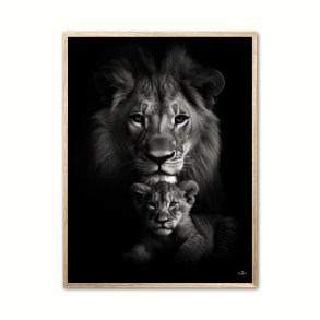 Lve + Unge Plakat 3 - Brneplakat