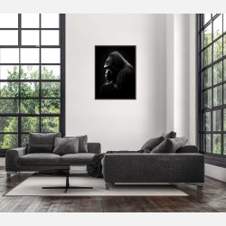 Gorilla Plakat 9