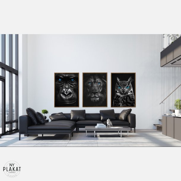 Blue Eyes - Plakats�t