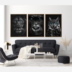 Blue Eyes - Plakatsæt
