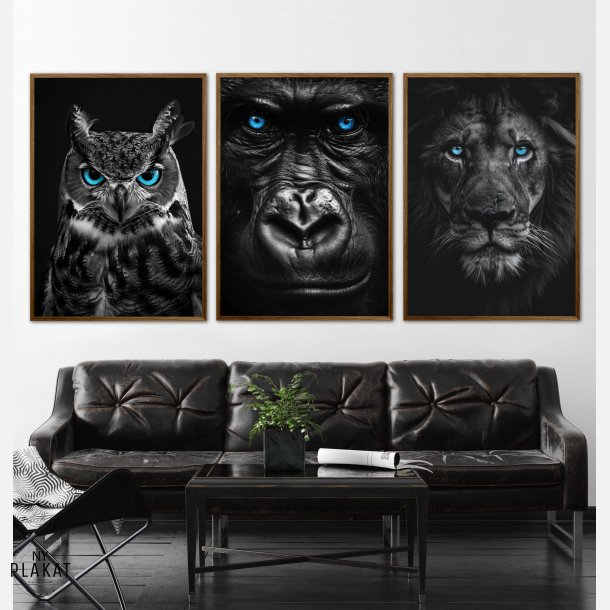 Blue Eyes - Plakats�t