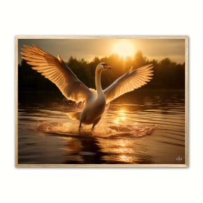 Svane Plakat 8