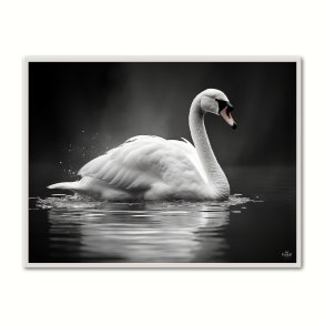 Svane Plakat 5