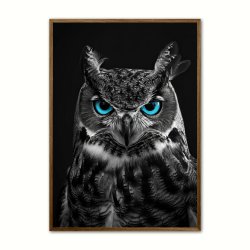Blue Eyes - Plakatsæt