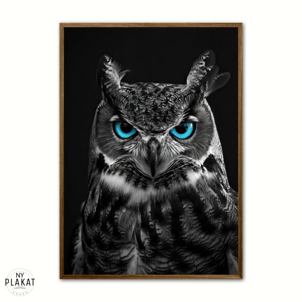 Blue Eyes - Plakats�t