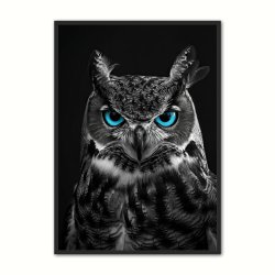 Blue Eyes - Plakatsæt