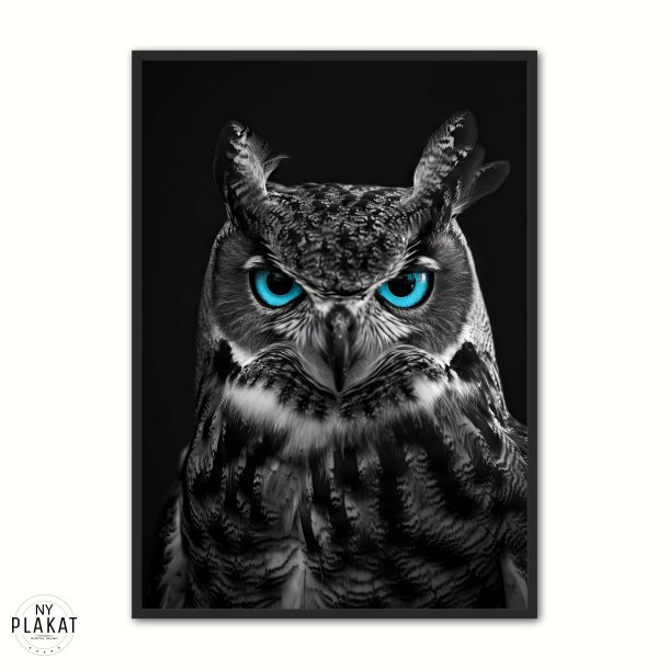 Blue Eyes - Plakats�t