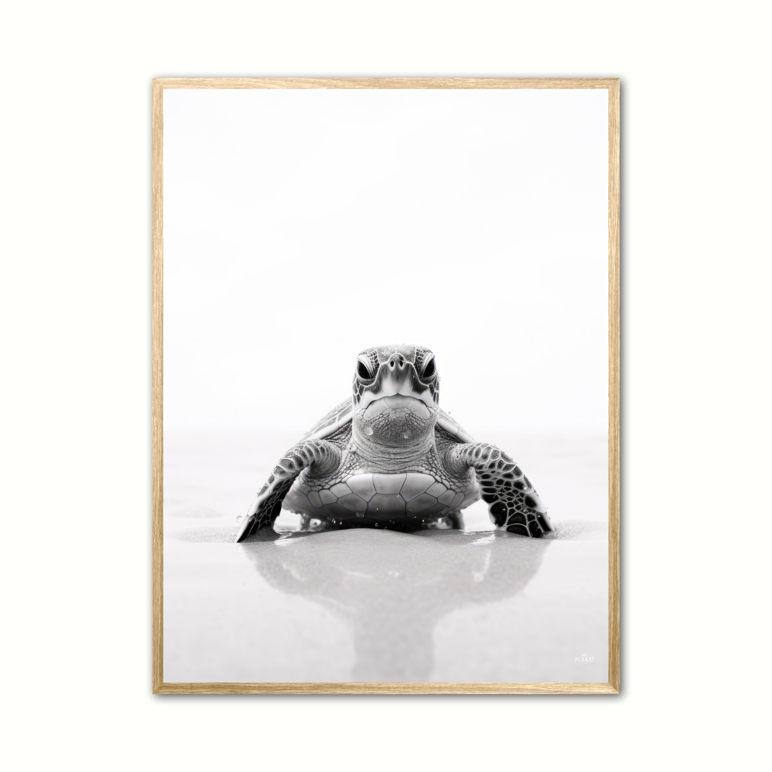 Plakat med Skildpadde Plakat 2 21 x 29,7 cm (A4)